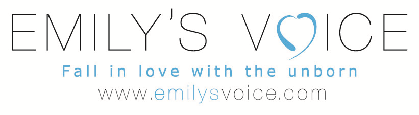 Emily's Voice 2014 Celebration Dinner
