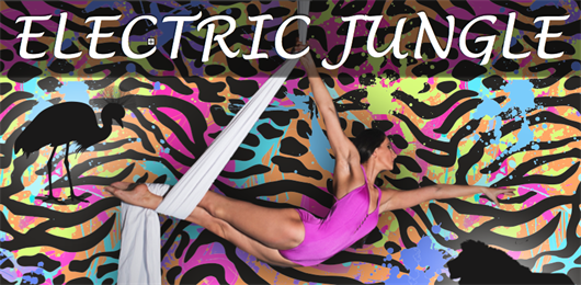 ELECTRIC JUNGLE - Aerial Artistry® Pro Show
