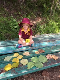 Embedding Outdoor Learning - Primary School