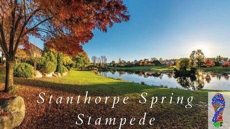 Stanthorpe Spring Stampede